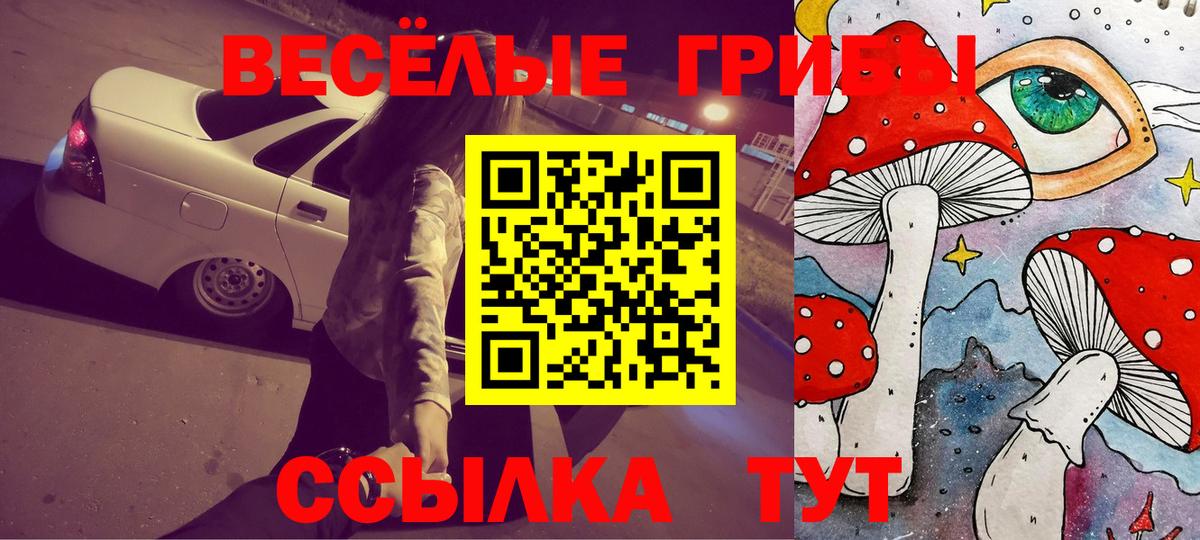 Галлюциногенные грибы MAGIC MUSHROOMS  Ахтубинск  Псилоцибиновые грибы Psilocybine cubensis 