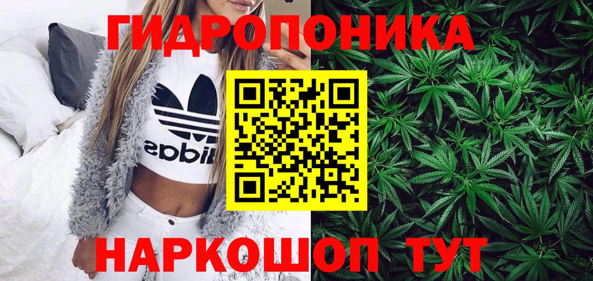 Бошки Шишки VHQ  Канабис планчик  Марихуана OG Kush  Ахтубинск 